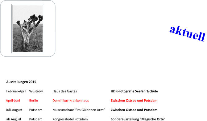 Ausstellungen 2015												 Februar-April	Wustrow	Haus des Gastes			HDR-Fotografie Seefahrtschule April-Juni	Berlin		Dominikus-Krankenhaus		Zwischen Ostsee und Potsdam Juli-August	Potsdam	Museumshaus “Im Güldenen Arm”	Zwischen Ostsee und Potsdam ab August	Potsdam	Kongresshotel Potsdam		Sonderausstellung “Magische Orte”	 aktuell